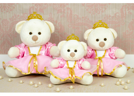 Ursos Tedde Princesa rosa...